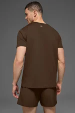 alo t-shirt brown
